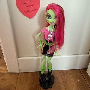 Music festival Venus